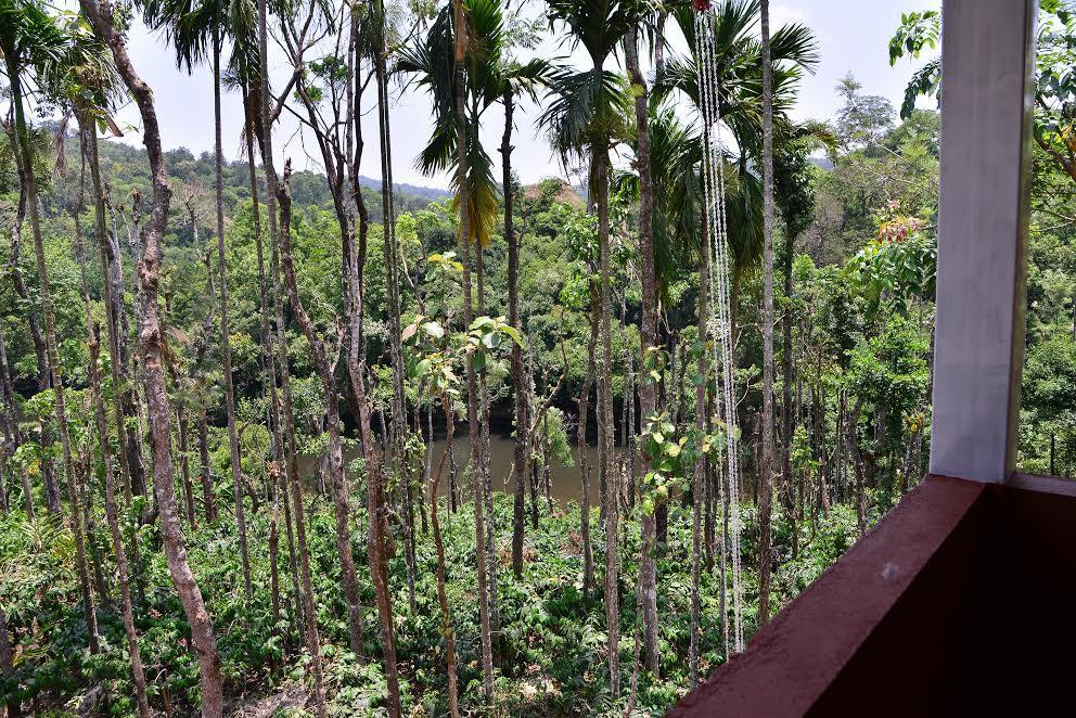 River Near Coorg Jambur Экстерьер фото