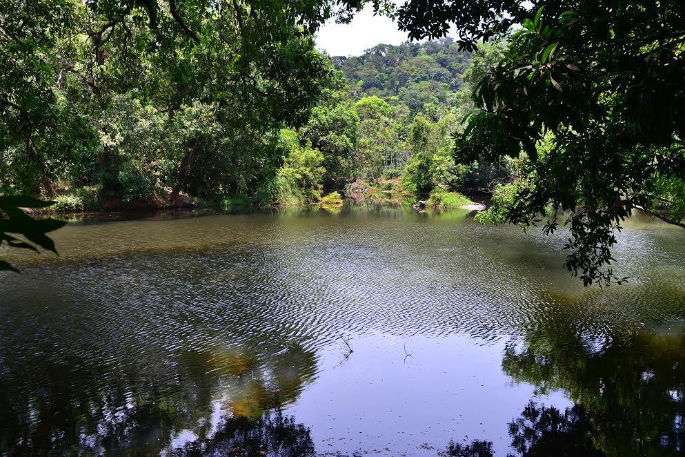 River Near Coorg Jambur Экстерьер фото